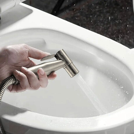 Ducha Higienica De Empotrar Monocomando GRIS-BRUSHED NICKEL