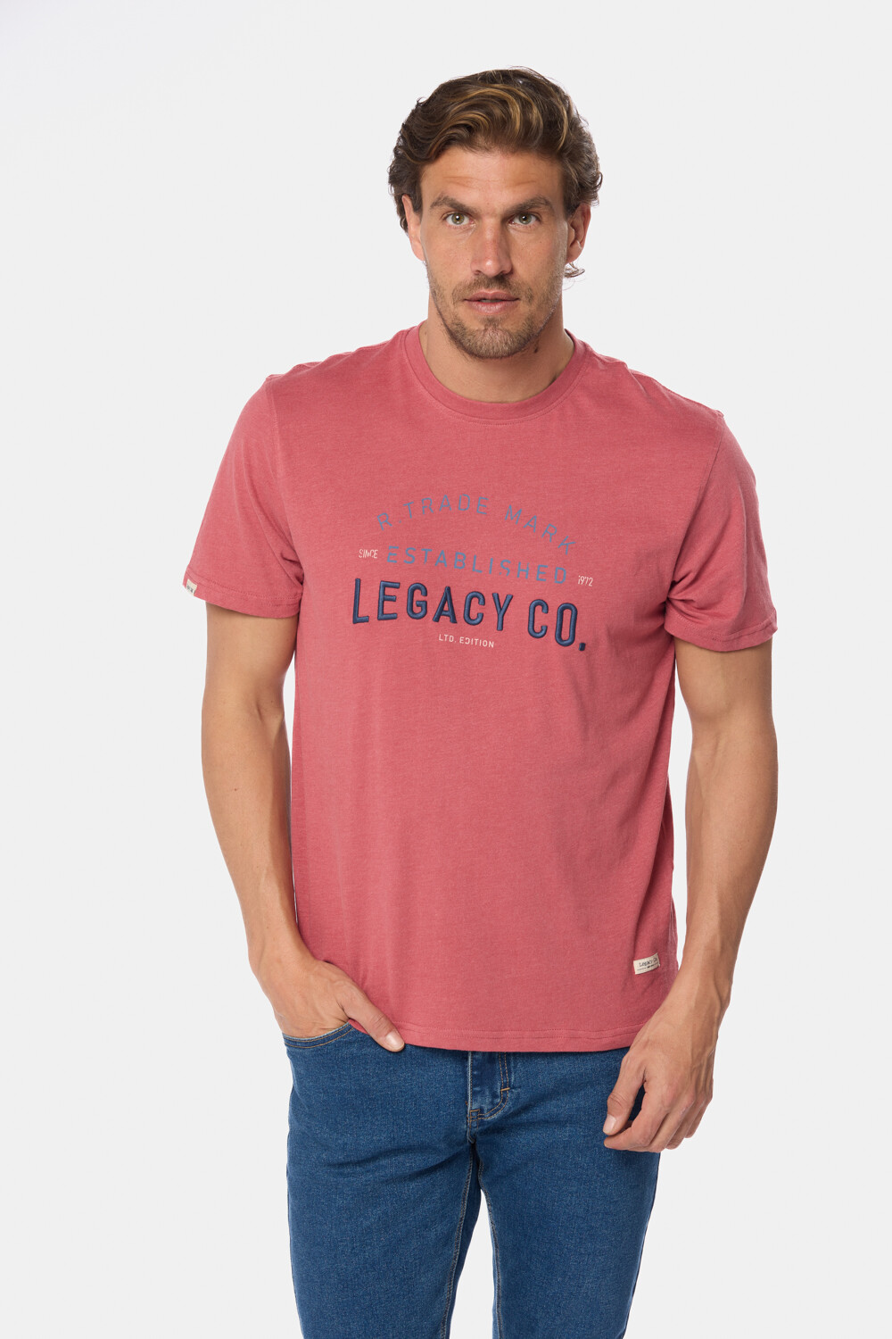REMERA ESTAMPADA Bordo