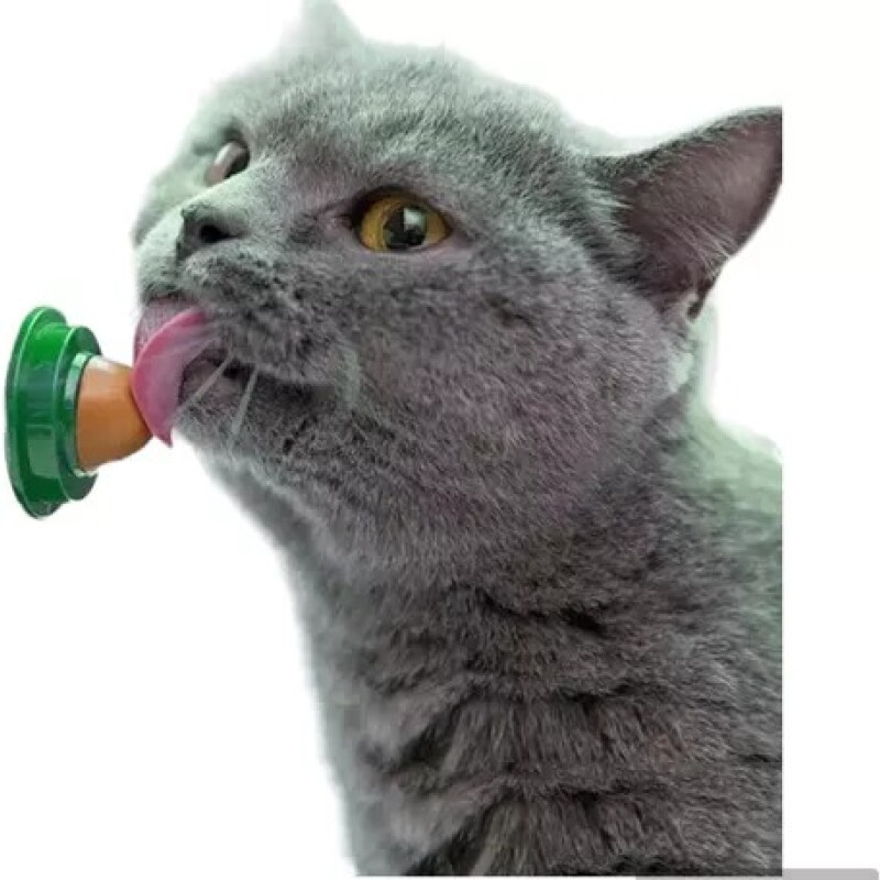 GOLOSINA PARA GATO CATNIP HIERBA GATERA GOLOSINA PARA GATO CATNIP HIERBA GATERA