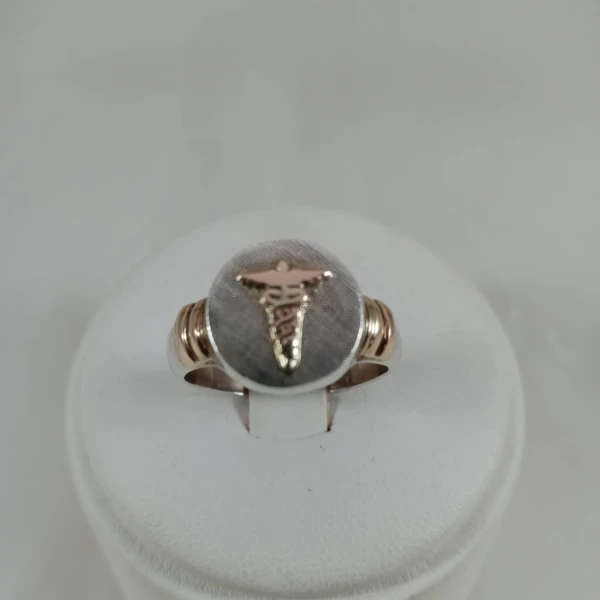 Anillo Profesión Medico Modelo Rafael Anillo Profesión Medico Modelo Rafael