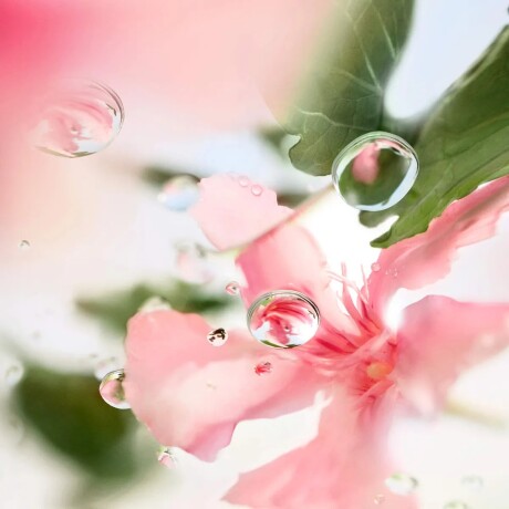 Perfume Lancome o de Lancome Over The Top Edt 100ML 001