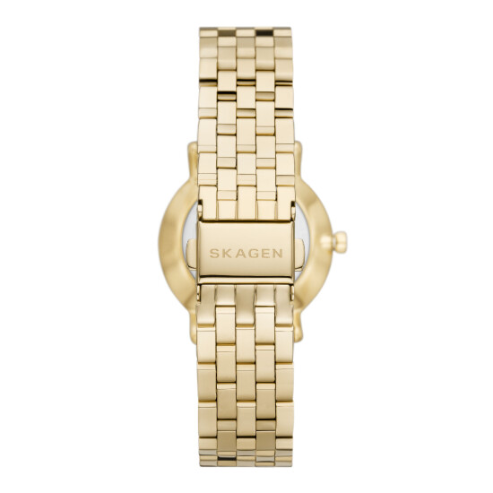 Reloj Skagen Kuppel Lille Acero Oro SKW3102 0