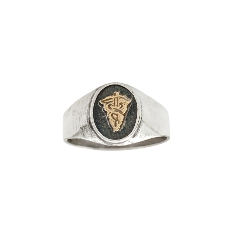 Anillo Profesión Fisioterapeuta - Plata y Oro-Sin Piedra-AP5045 ap5039