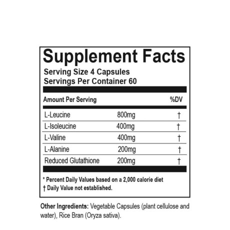 Endurance BCAA Hammer 240 cáps