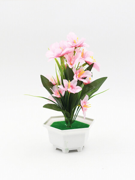 PLANTA NAIM ROSADO