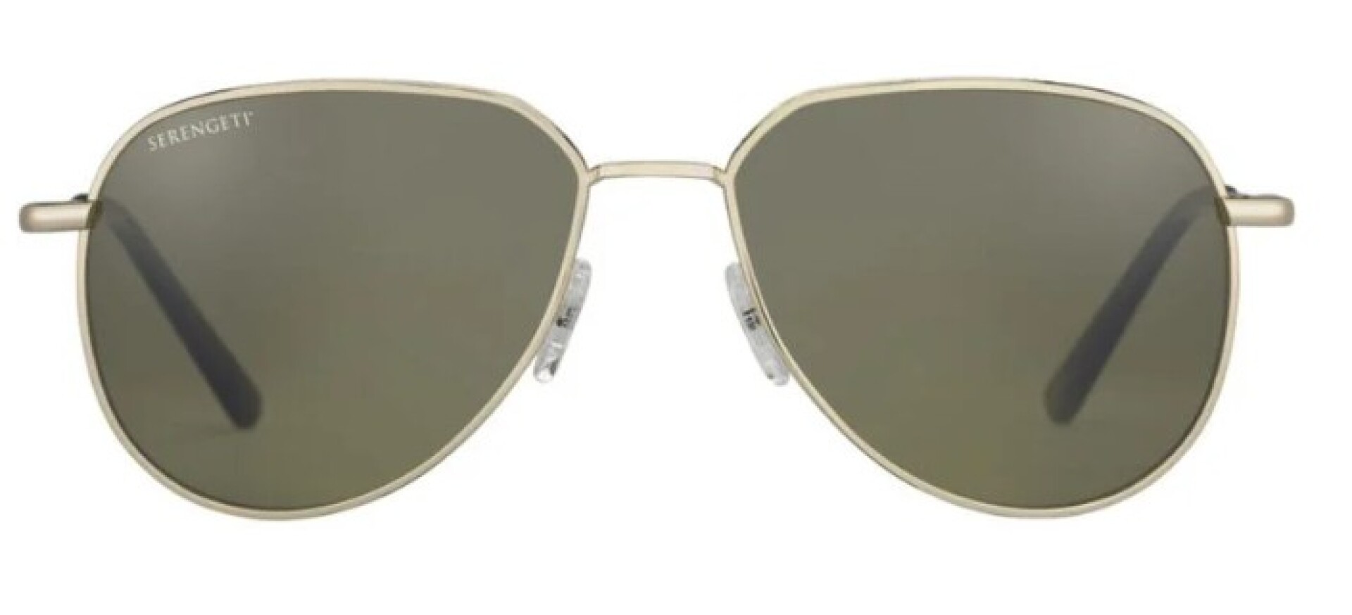 Serengeti Haywood 543003 polarized 