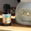 Aceite 10ml hornito Anti-estrés