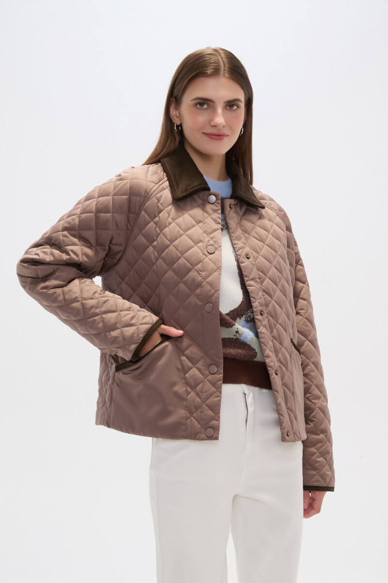 Campera Bianza - Taupe / Mink / Vison 
