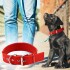 Collar Ajustable Reforzado Hebilla Nylon Perro Gato Mediano Variante Color Rojo