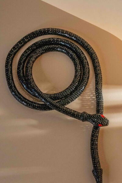 Collar Snake Negro