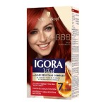 IGORA VITAL COLOR RUBI APASIONADONÂ°6-88 única