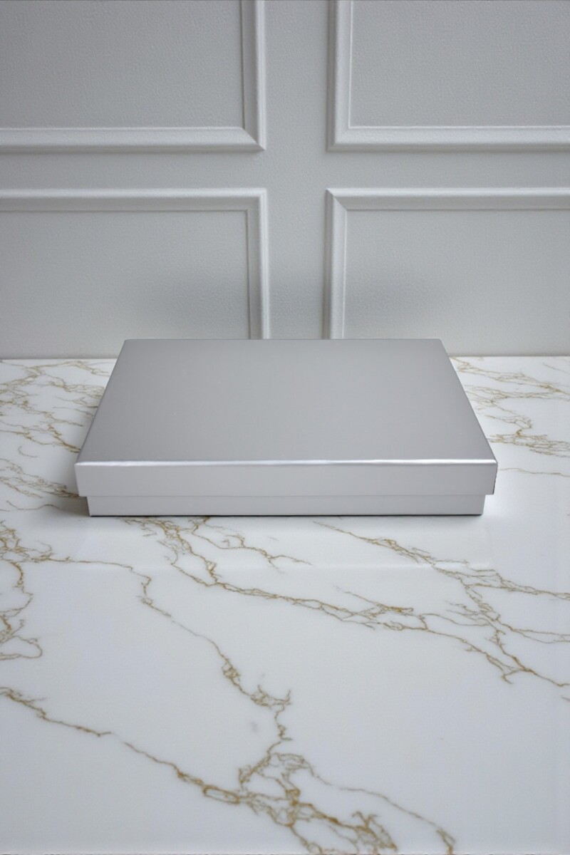 Caja Rigida 27,5 x 37,5 x 7,5 - PLATA 