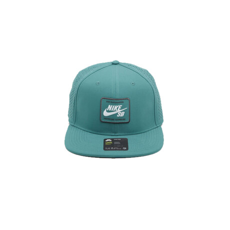 Gorra Nike SB AeroBill Pro 2.0 362