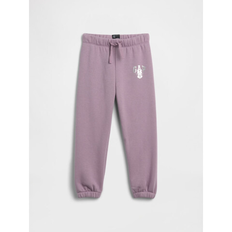 V-DISLOGO JGR SP DIS FAM AMETHYST2