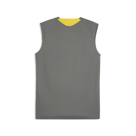 CAP SL TR Jersey 78652205 Gris
