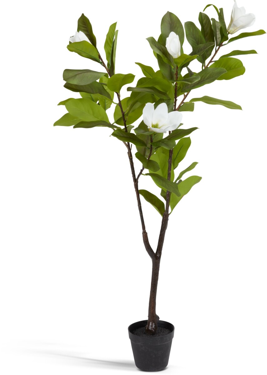 Planta artificial SPINDEL A120cm magnolia 
