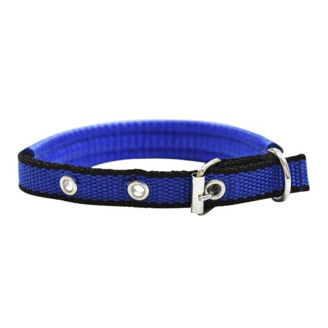 Collar Con Protección 38 X 2,0 Cm - Nº 1 Azul