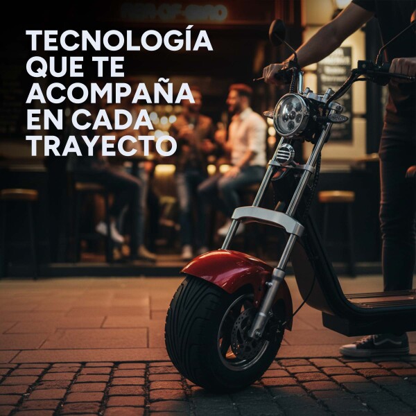 Moto Electrica Gogreen Deluxe 1500W 16Ah 30Km Autono. 45Km/h Color Variante Bordo