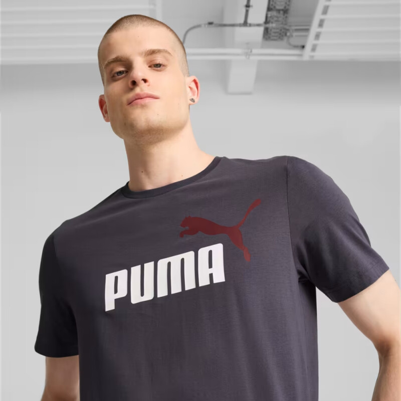 Remera de Hombre Puma Essentials 2 Colour Gris Oscuro