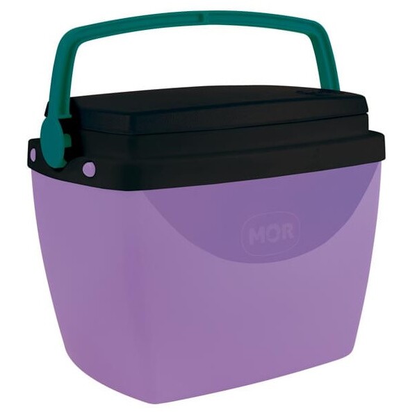 CONSERVADORA 6 LTS LILA CON VERDE VERDE