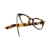 Indie Chiara Tortoise