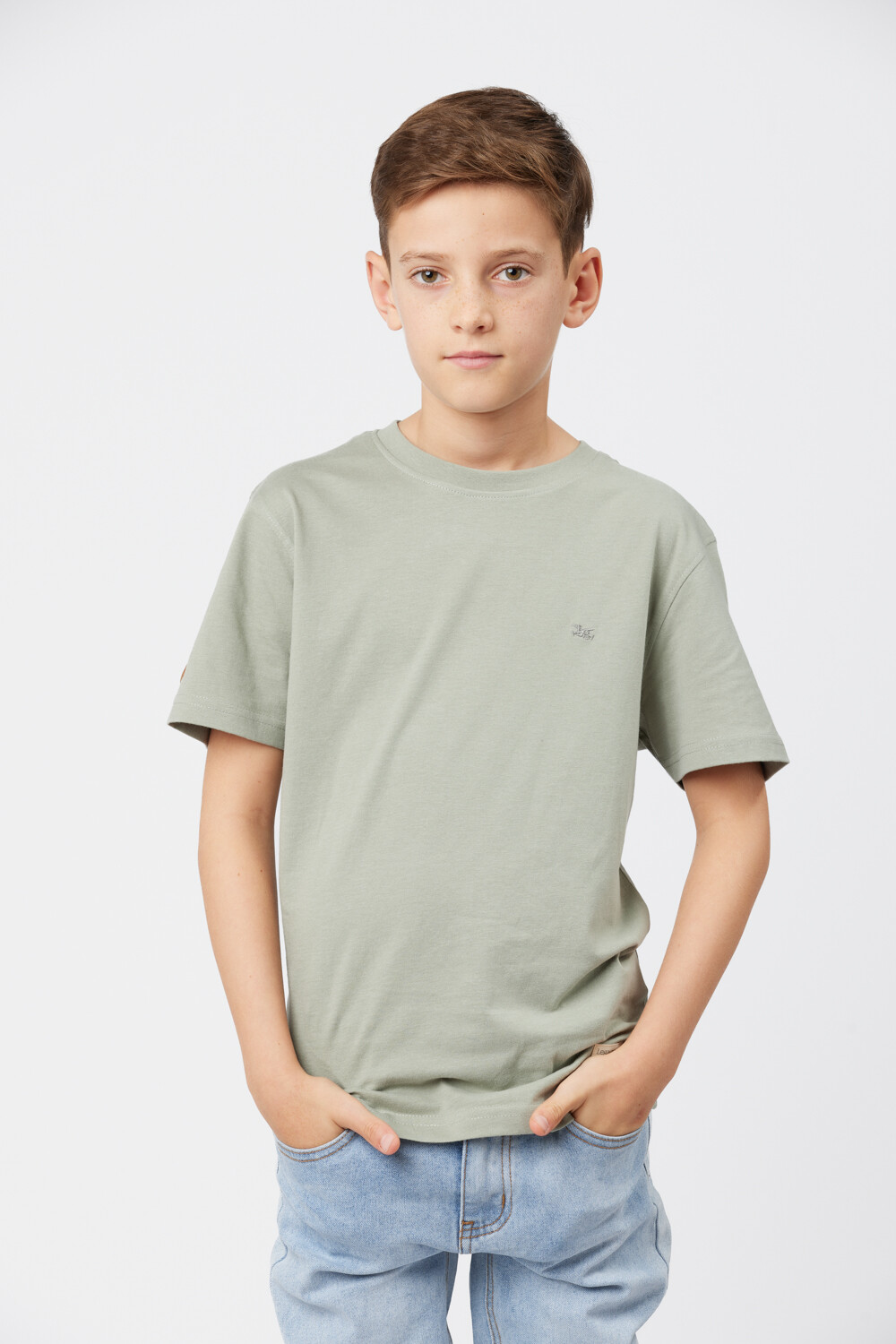 REMERA BÁSICA DE ALGODÓN Pistacho