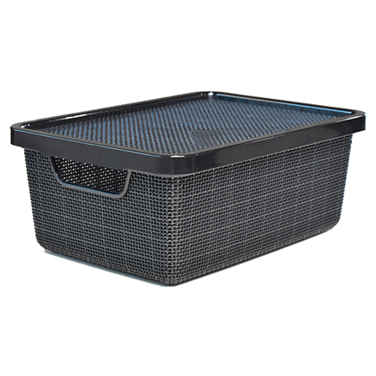 Caja organizadora con tapa 6 lts - NEGRO 