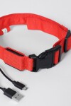 Collar con luz LED recargable rojo
