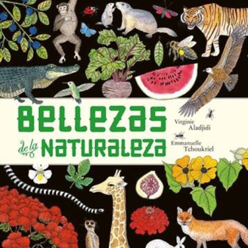 Bellezas De La Naturaleza Bellezas De La Naturaleza