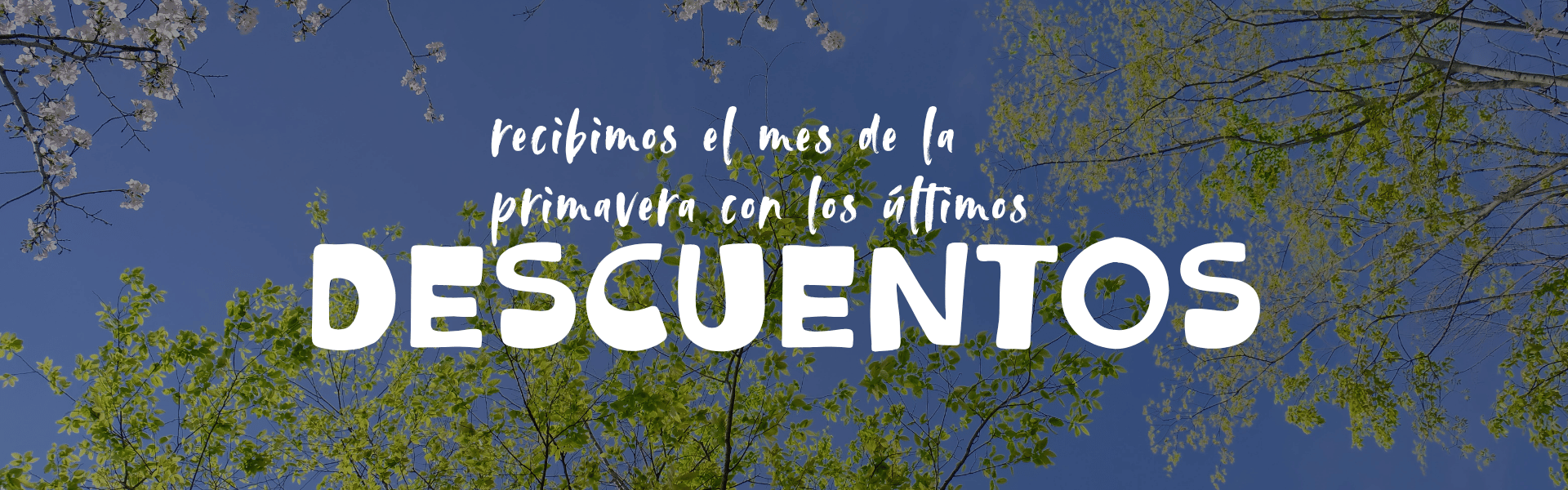 LIQUIDACION
