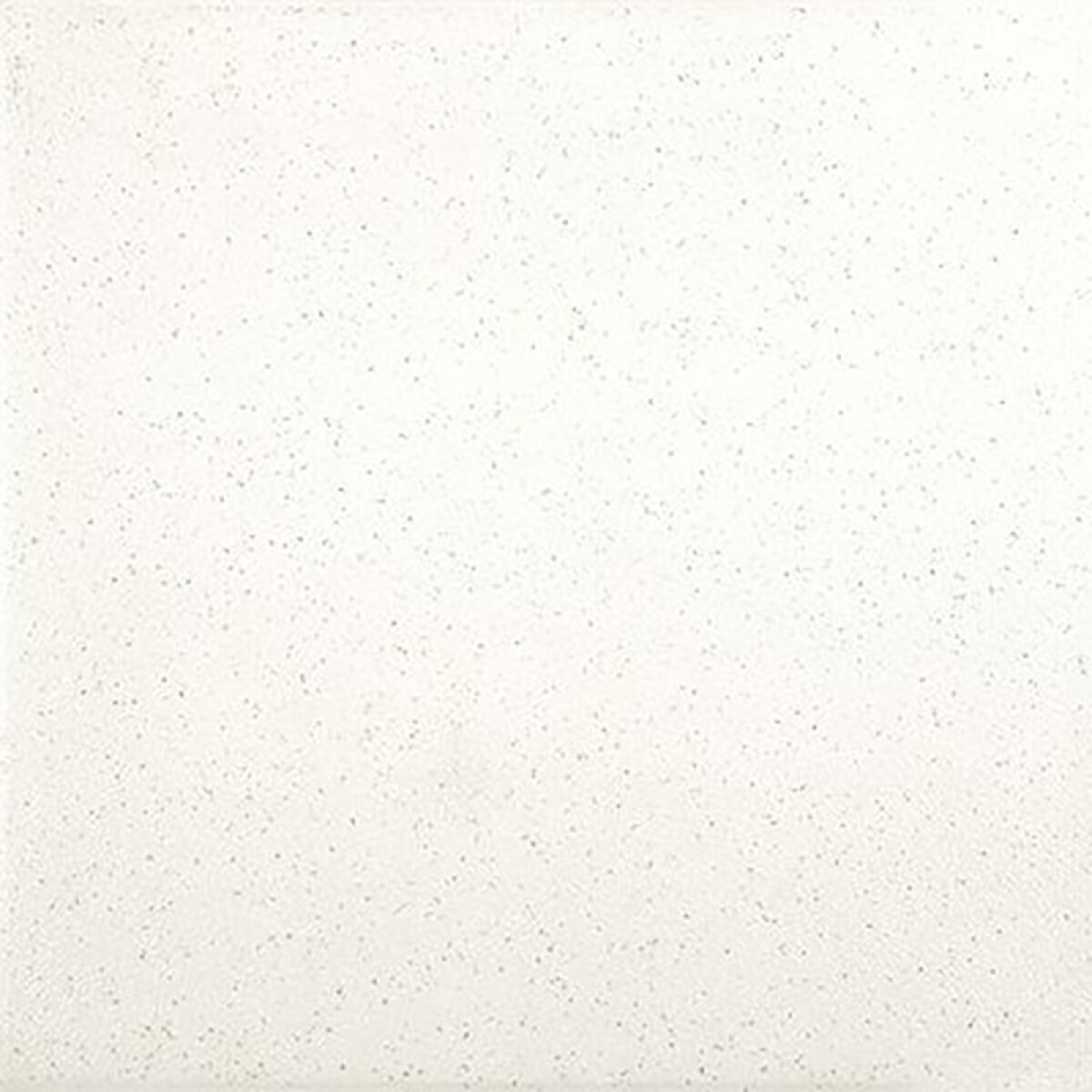 Cerámica Para Piso Alaska "a" 50.8x50.8 Cm 