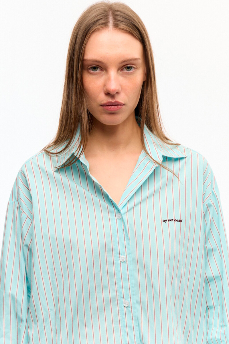 CAMISA RAYAS DEVON Celeste