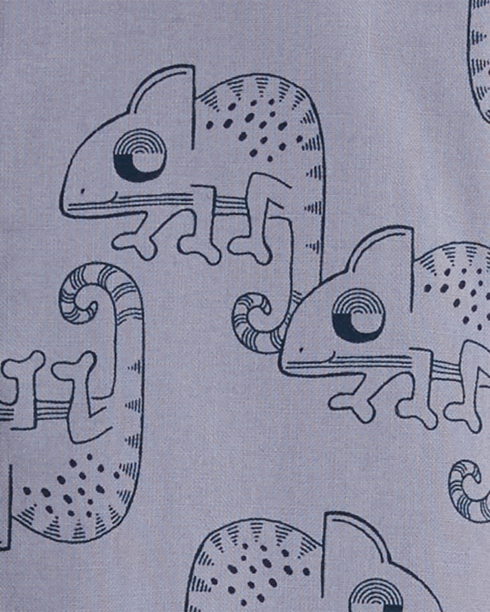 Set tres piezas short, camisa y body de algodón diseño camaleón Sin color