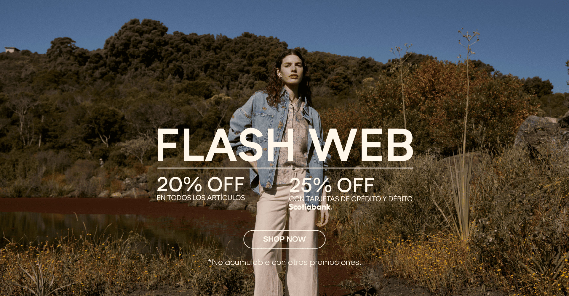 FLASH WEB