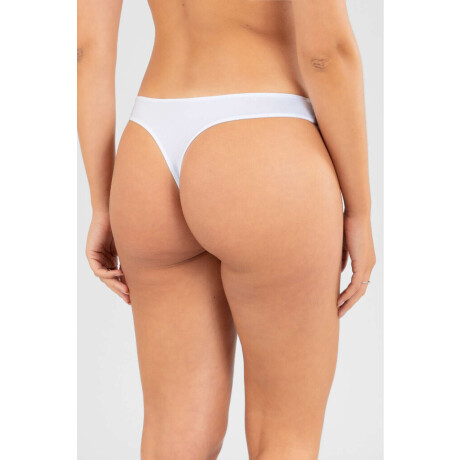 Colaless calatea Blanco