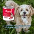 PREMIUM SALSA PATÉ PERRO ADULTO CARNE 340 GR PREMIUM SALSA PATÉ PERRO ADULTO CARNE 340 GR