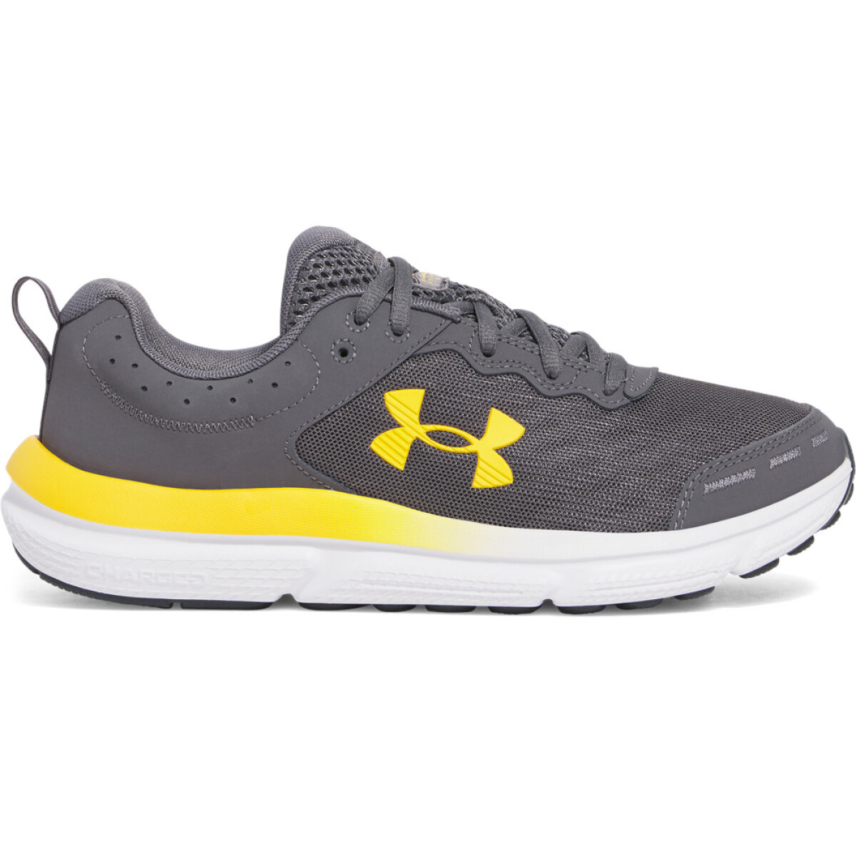 UA Charged Assert 10-GRY - GRY-025 