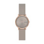 Reloj Skagen Signatur Lille Cuero Gris SKW3060 0