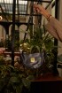 Brassy Bag Crocco Negro
