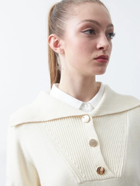 BUZO D.CASSIN APUS CRUDO