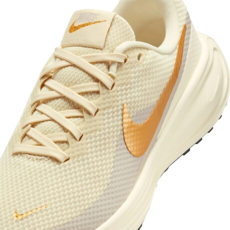 Championes Nike Revolution 8 Brown