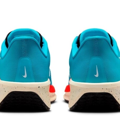 Champion Nike Hombre Quest 6 S/C