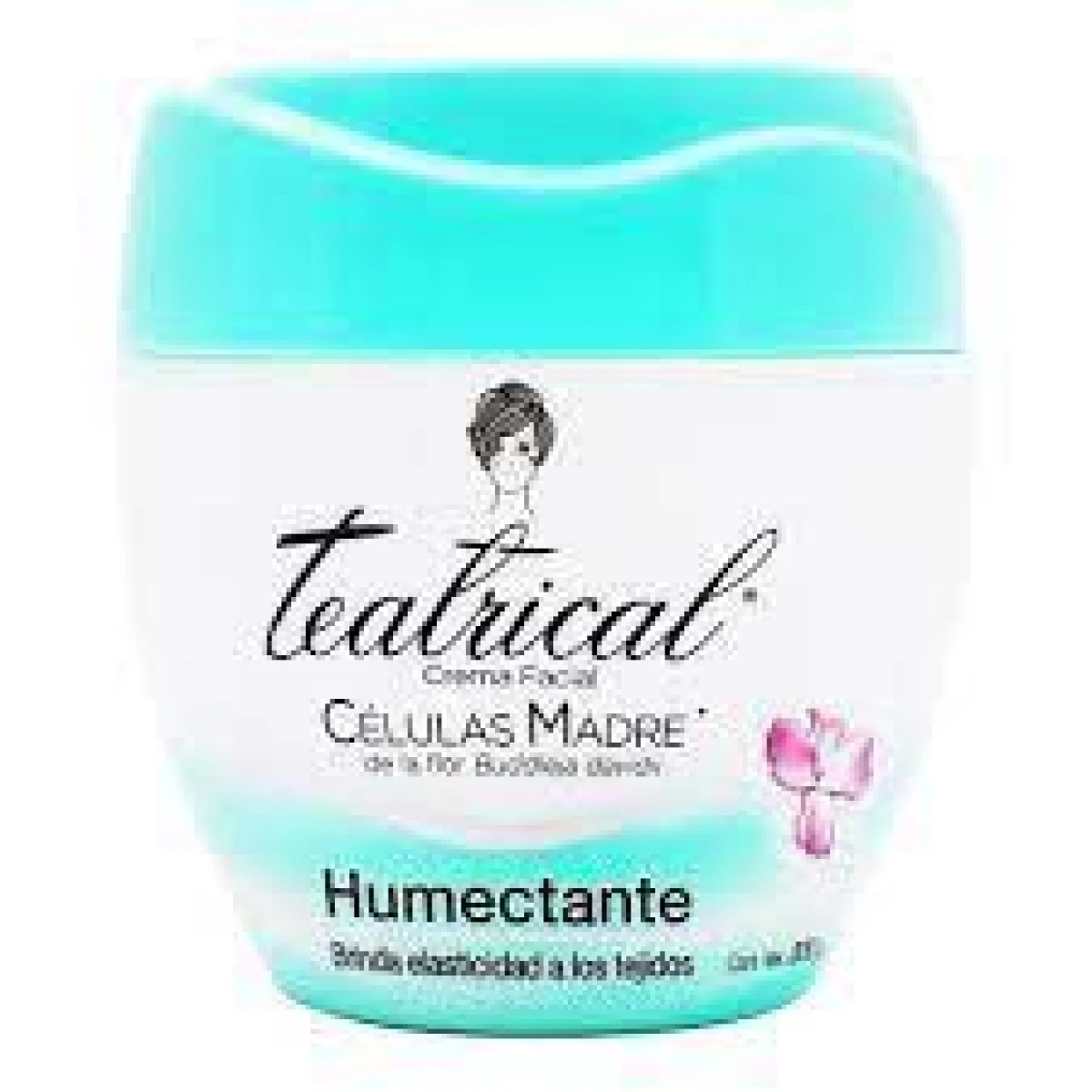 Teatrical Humectante 200Gr 