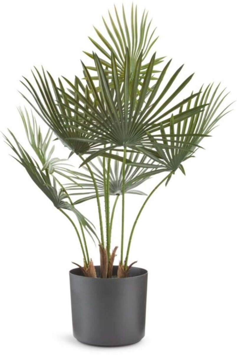 Planta Artificial Jakob 73Cm - Verde 