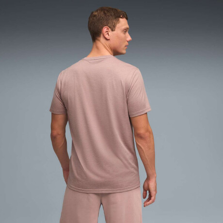 Remera Tad Essentials Heather Cat Tee de Hombre Crema