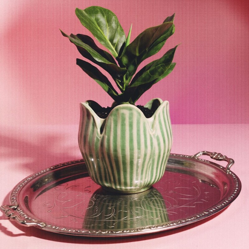 Maceta de cerámica Tulipán verde