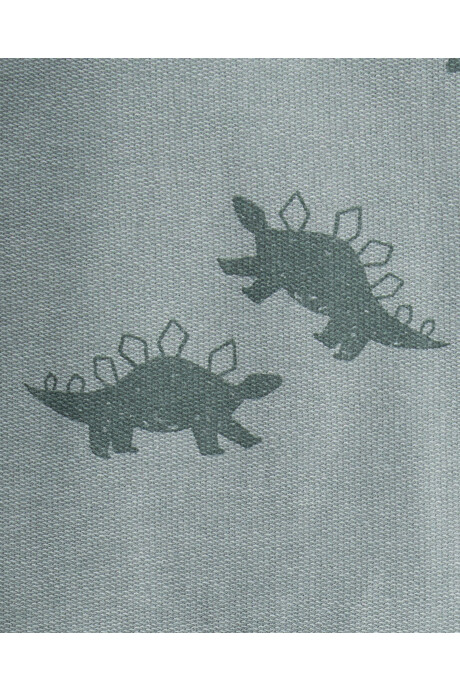Set dos piezas de algodón, pantalón y buzo, verde, diseño dinos Sin color