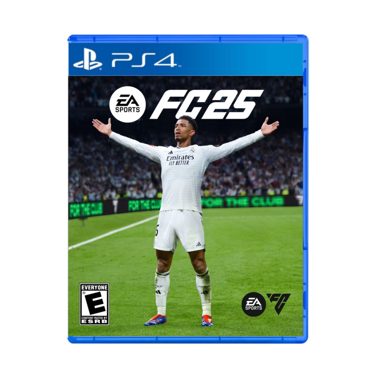 FC 25 PS4 