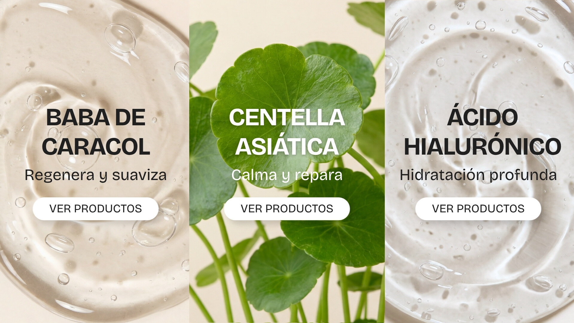 INGREDIENTES
