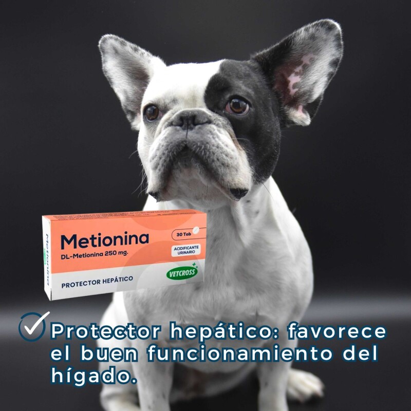 METIONINA X CAJA DE 30 COMPRIMIDOS METIONINA X CAJA DE 30 COMPRIMIDOS